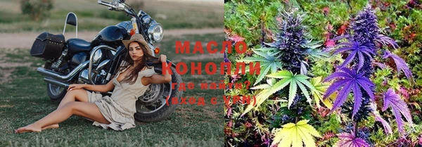 прущие грибы Баксан