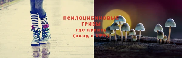 apvp Балахна
