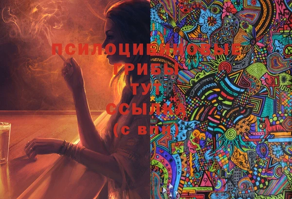 прущие грибы Баксан