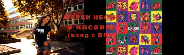 прущие грибы Баксан