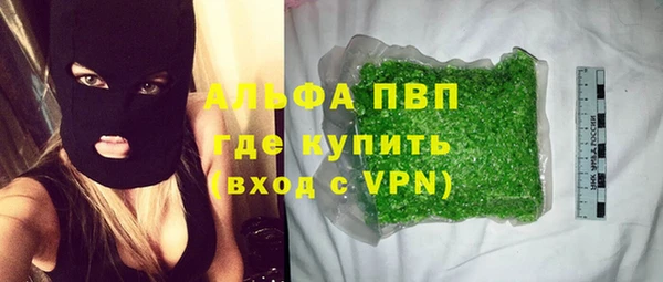 прущие грибы Баксан